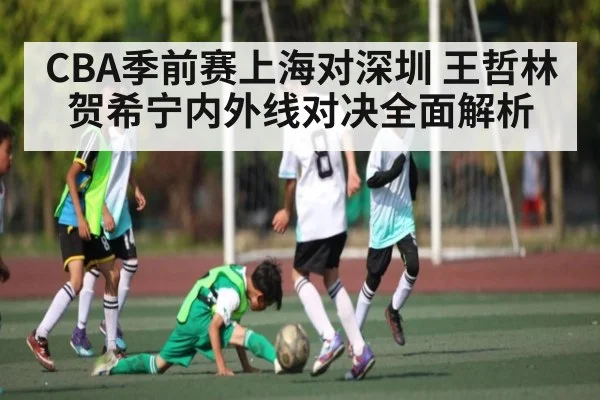 CBA季前赛上海对深圳 王哲林贺希宁内外线对决全面解析